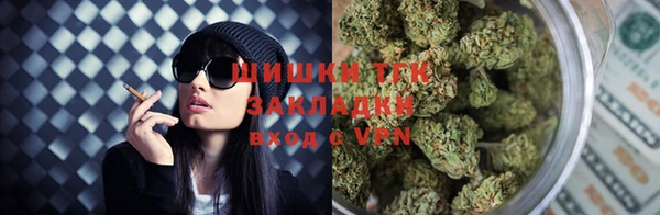 тгк Алексин