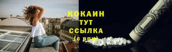 тгк Алексин